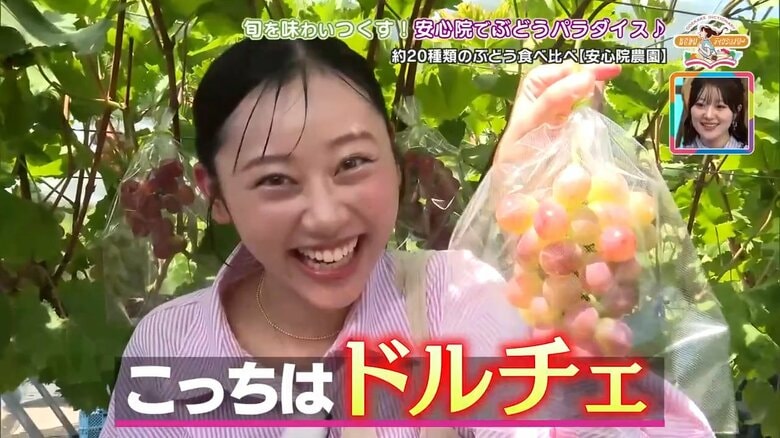 司馬遼太郎が絶賛「日本一美しい村」絶景と旬を迎えた20品種のブドウを贅沢に味わう・大分｜FNNプライムオンライン
