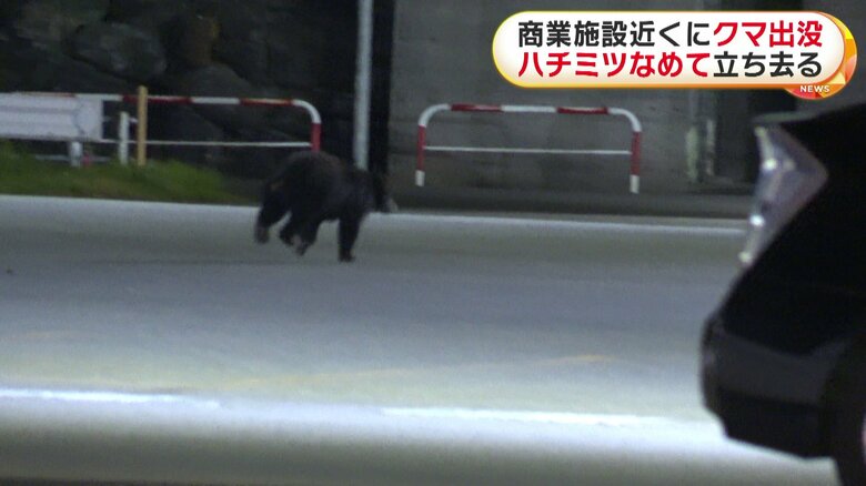 クマは川の方向へ走り去った