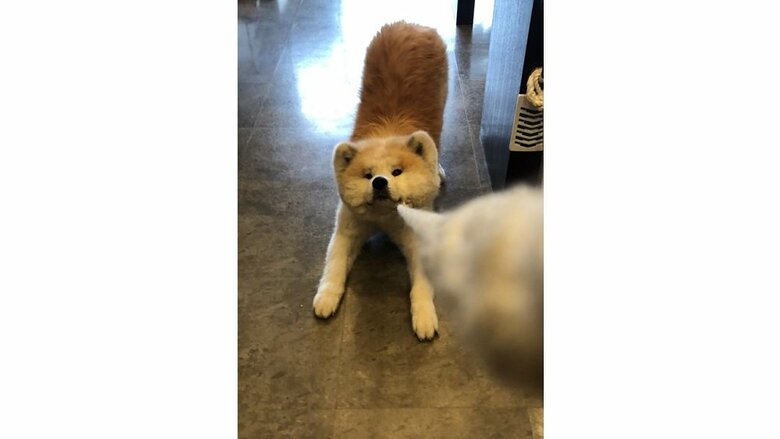 行きたくないとNOサイン