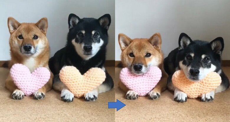ハートにもあご乗せ