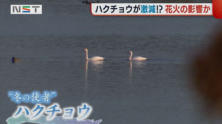 鳥屋野潟公園（新潟市中央区）