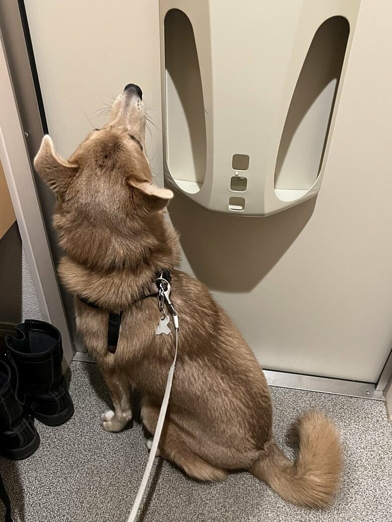 散歩前の待機場所