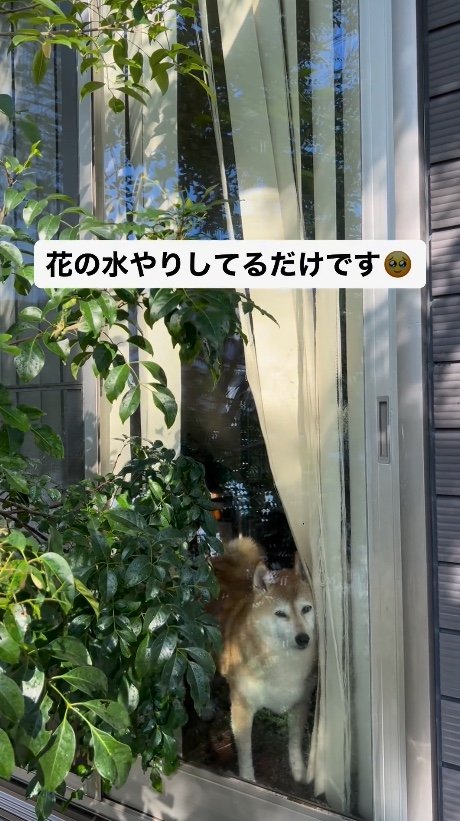 提供：橋本真実さん