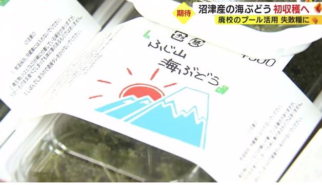 まずは宮古島産で発売
