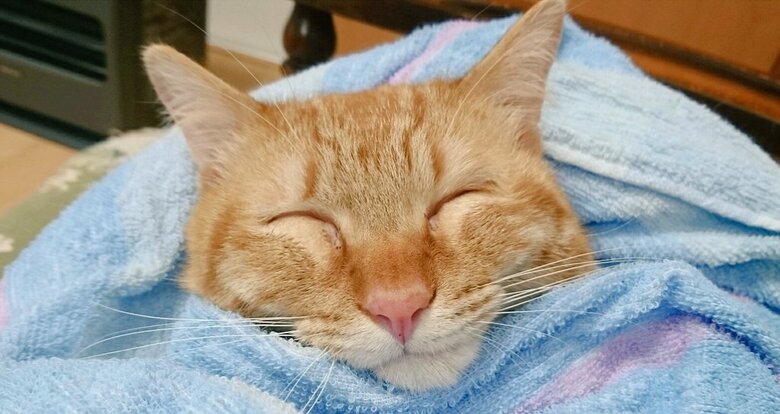 いい笑顔