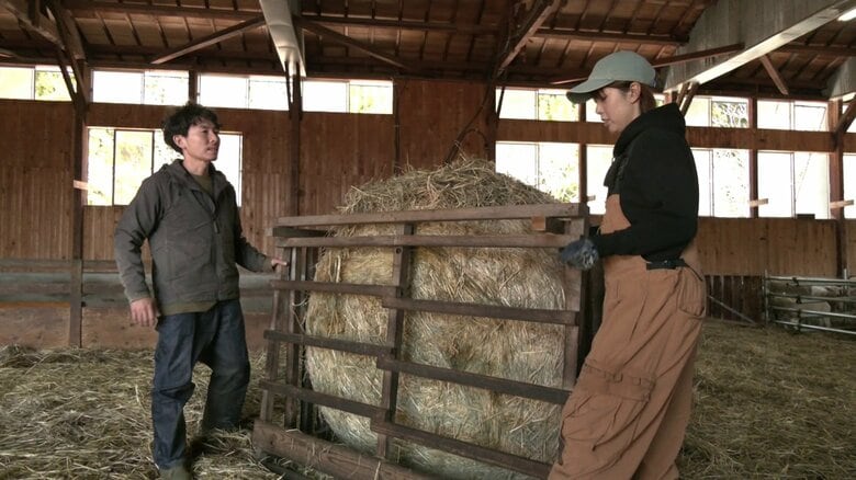 2人は群馬の観光牧場で働く中でヒツジへの関心が強まったという