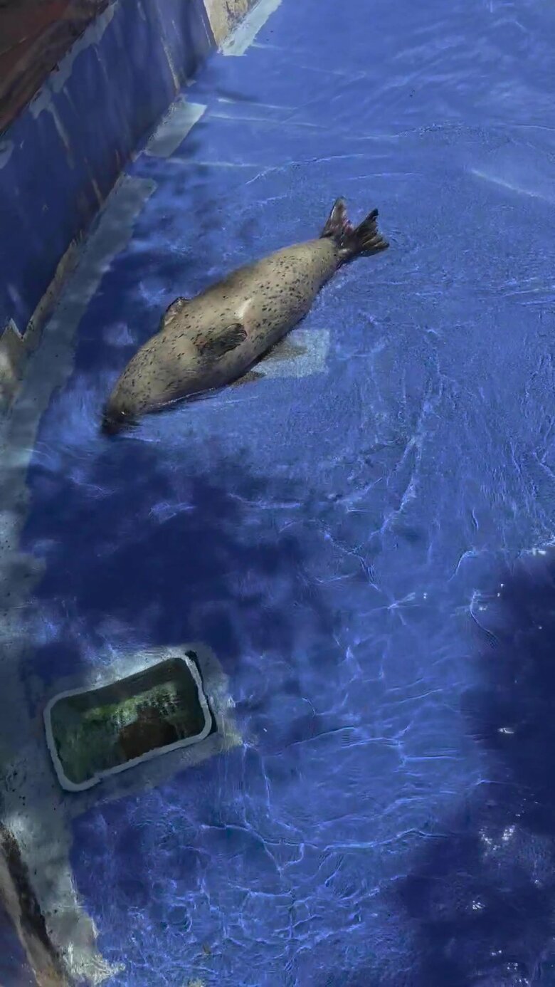 くるんと回転（提供：名古屋市東山動植物園）