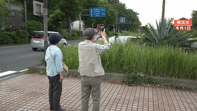 アオノリュウゼツランを撮影する人