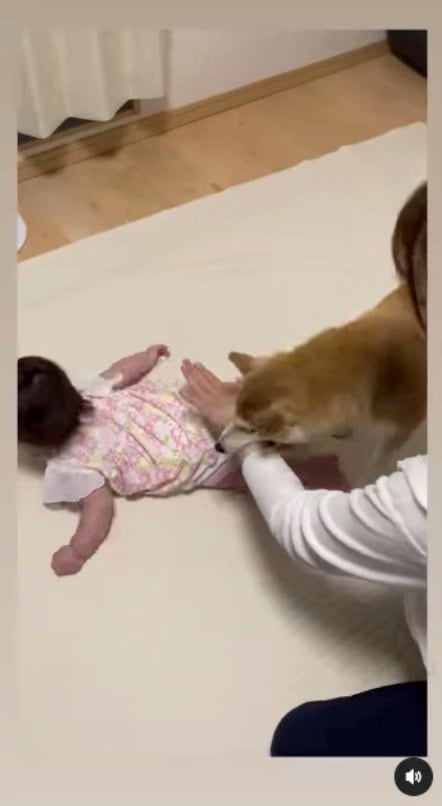 手を甘噛み（提供：SORAさん）