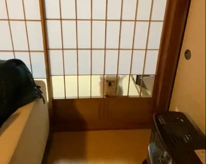 障子の建具に身を乗り出し…