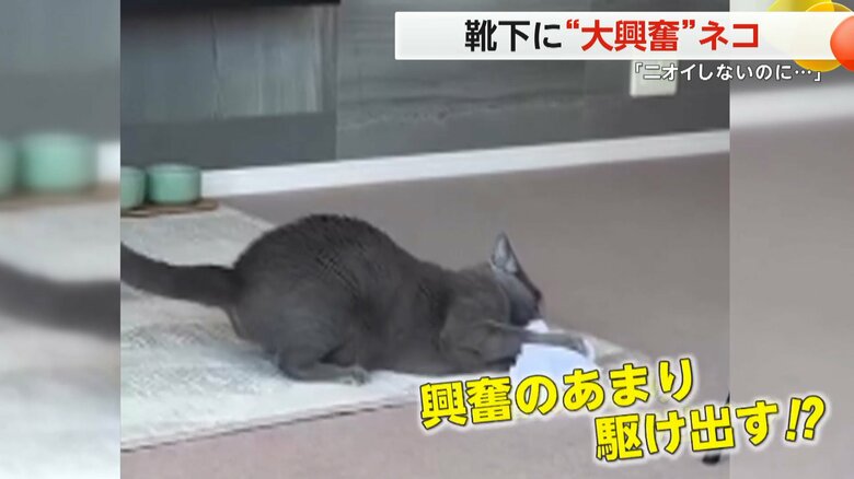 （belle_0920_belle）