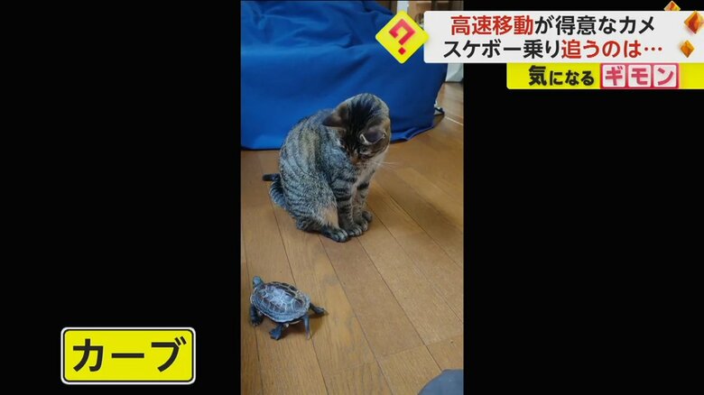軍曹くんは日に日にコツをつかみ、いろんな乗り方をマスターしている