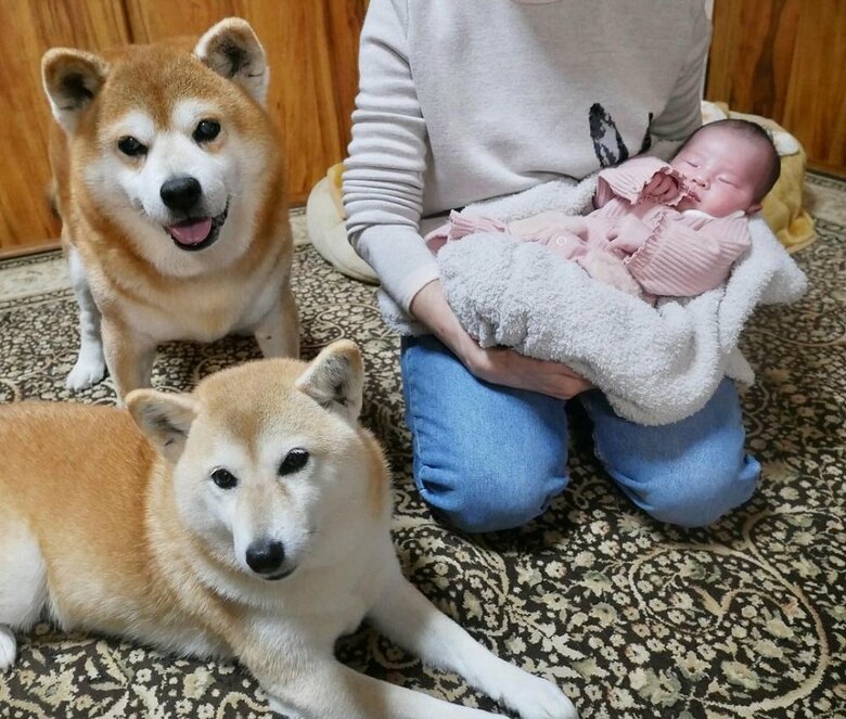 娘さんと初対面　上：べりやんくん　下：むくみちゃん　