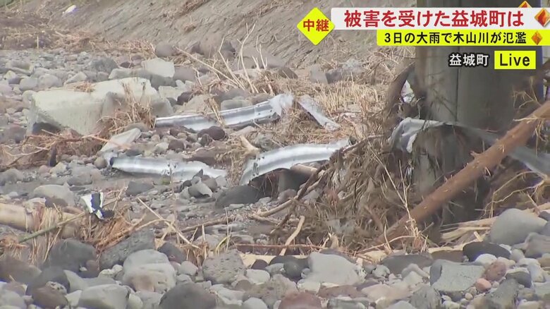 橋脚にあるガードレールや木