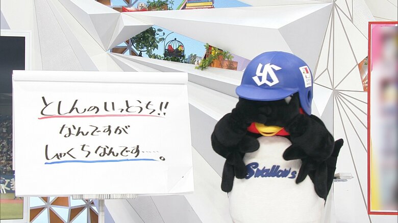 しゃしんしはNGです