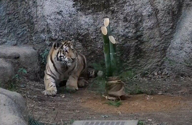 そしてビビるを繰り返す