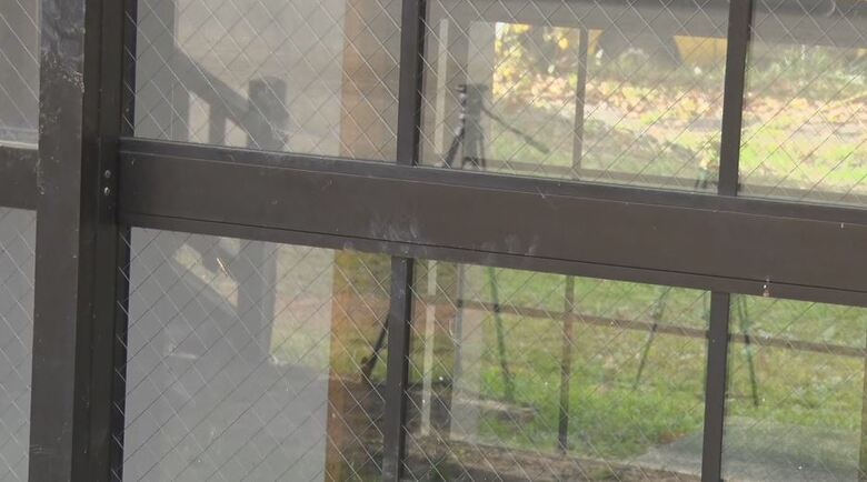 クマの足跡らしきもの