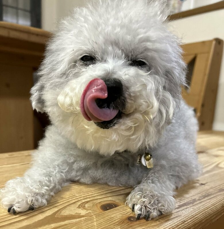 ペロンとご機嫌な様子