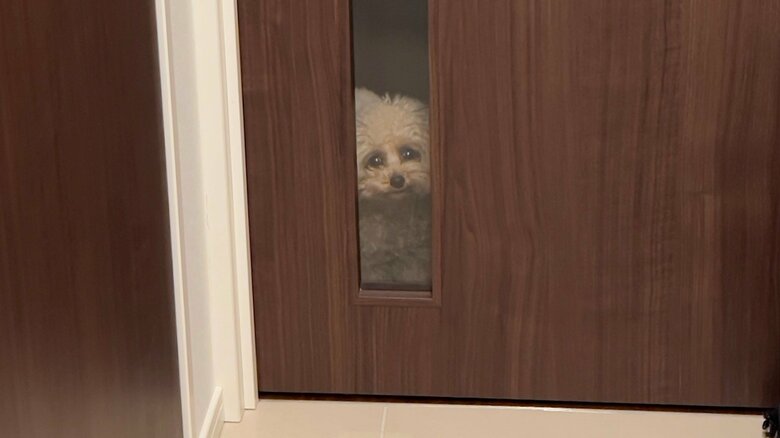 ごみ出しの際、振り返ると…