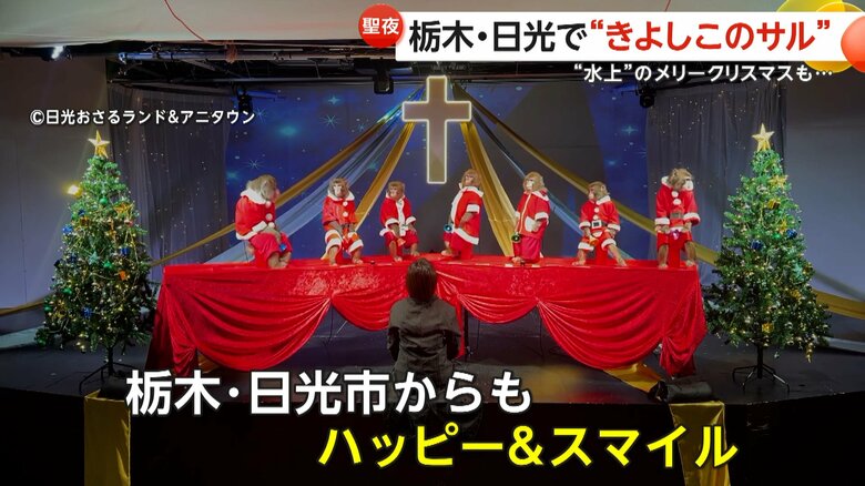 栃木・日光市の「日光さる軍団」