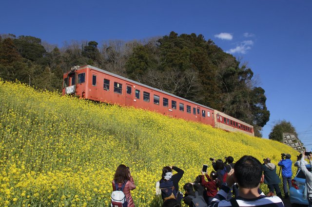 （画像はイメージ）