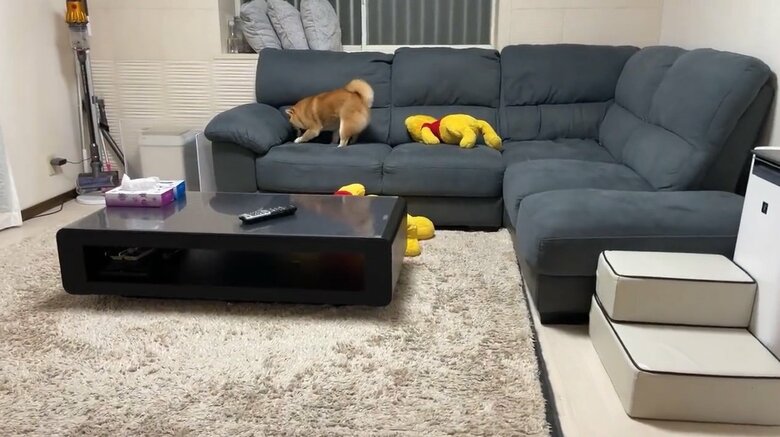 提供：うにandおからさん