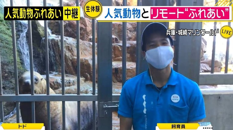 オンラインで動物の“餌やり”や“リモート芸”...コロナ禍で新しいレジャースタイル登場!スタジオでも体験してみた