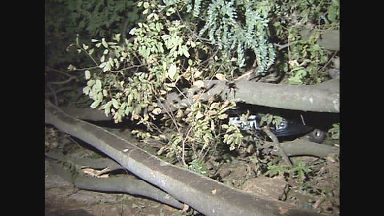 震災当日は3人を救助