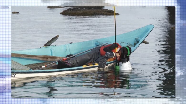 ウニ漁に出られる回数が減っている