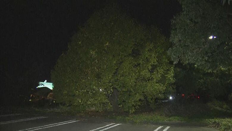 商業施設の駐車場