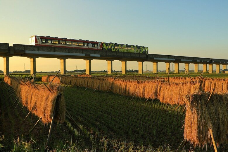 撮影：渡邉貴宣　提供：鹿島臨海鉄道