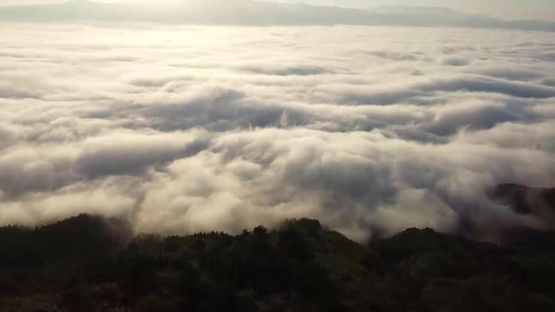 一面に広がる「雲海」（遠野市の高清水展望台、午前6時頃）