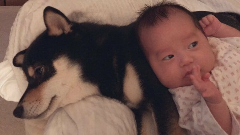 一緒にすくすくと成長していくだろう