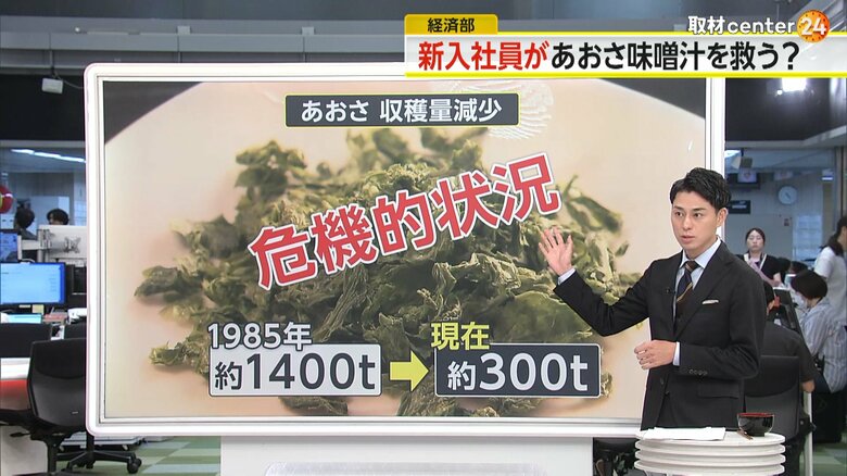 危機的状況にある「あおさ」の収穫量