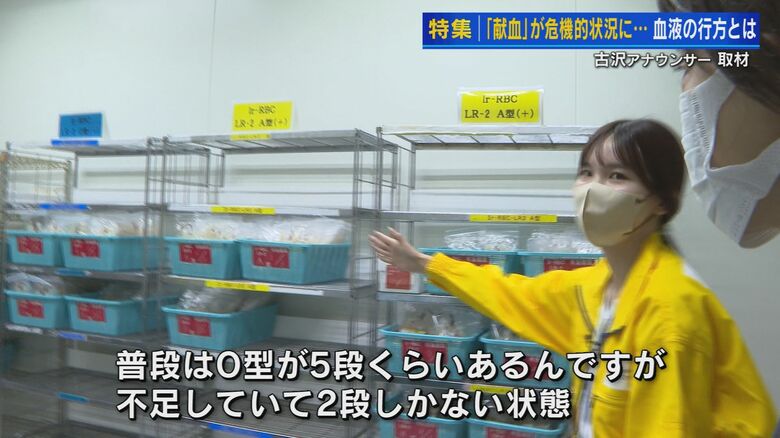 広島県赤十字血液センター 学術情報・供給課 伊藤真奈美さん