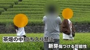 茶畑内に無断立ち入り、落書きやポイ捨ても　絶景スポットの茶園で観光客の迷惑行為　地元住民「ごみがぶん投げてある」