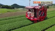 茶葉が急高騰　鹿児島の生産現場は今　