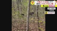 【絶対に走らないでください】クマは時速40km 人間が振り切るの無理 岩手・鞍掛山で登山客が至近距離で出くわす