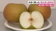 大きく育った富士市ブランド「富士梨」を審査　幸水や豊水が8月末まで　