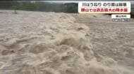 ごう音立てる九頭竜川　「どうしようもない…」水に浸かる田んぼ前に肩落とす農家　「レベル5」勝山で過去最大の雨