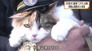 2代目のネコ駅長「ニタマ」永眠　和歌山電鉄の人気者　初代「たま駅長」の後を継ぎ貴志川線貴志駅の駅長就任　2022年「社長代理」に昇進し活躍続ける　社葬は来月13日