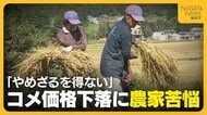 【コメ農家】「今年は完全に赤字」コメの価格下落に危機感…魚沼産コシヒカリの産地から悲痛な声