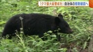 【クマ】“出没件数”過去最多…新潟知事“最大級の警戒”を呼びかけ自治体の態勢確認へ「ただならぬ事態」