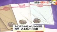 もらえたらラッキー？！貴重な動物の「お年（落とし）玉」を配布　抜け“落ちた”毛や羽など
