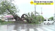 台風6号 先島諸島に最も接近 本島地方にも最接近