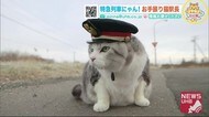 毎朝欠かさないお勤め…特急列車へ「お手振りネコ駅長」