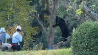 体重100キロの熊に…群馬の山林で狩猟中の男性（60）襲われ顔をケガする重傷　宮城では住宅付近で2頭の熊発見され駆除