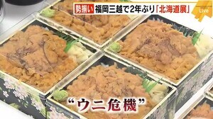 北海道物産展でも人気の「ウニ」がピンチ! 福岡でも値上がり? “博多の台所”柳橋連合市場を訪ねると…
