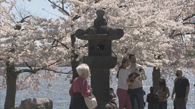 【解説】ワシントンDCの桜は韓国産?杜撰な取材で拡散する嘘