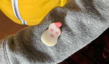 給食に出たカワイイかまぼこを「お母さんに見せたい!」 小2男子の斬新な“お持ち帰り方法”にほっこり